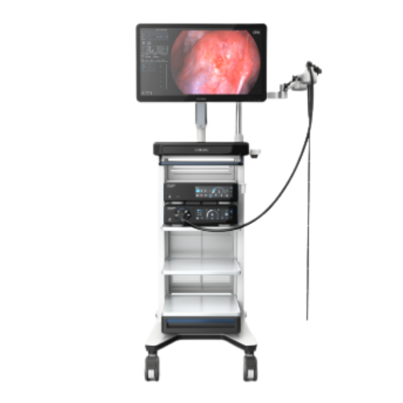 Endoscopy System